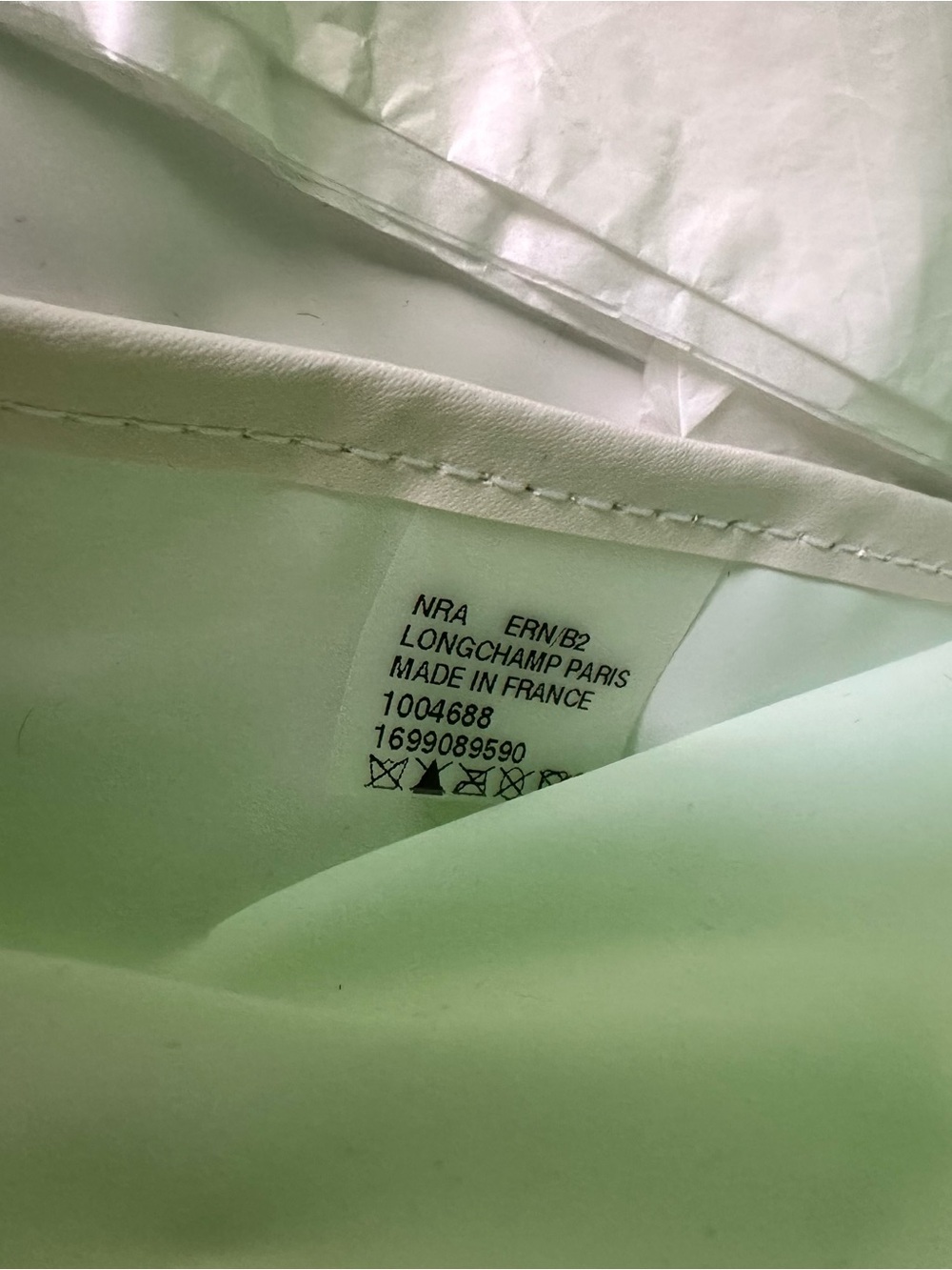 Longchamp Light Green Backpack - Picture 6 of 6